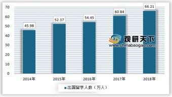 留學中介市場持續(xù)升溫 一攬子服務(wù)成各公司標配